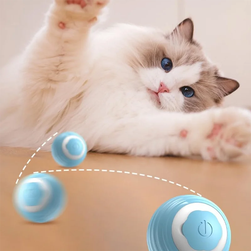 Pet Self-Rolling Ball