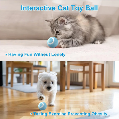 Pet Self-Rolling Ball