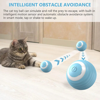 Pet Self-Rolling Ball